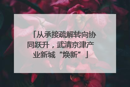 从承接疏解转向协同跃升，武清京津产业新城“焕新”