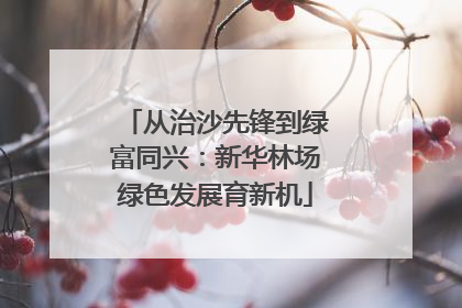 从治沙先锋到绿富同兴：新华林场绿色发展育新机