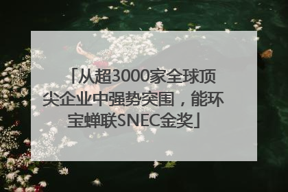 从超3000家全球顶尖企业中强势突围，能环宝蝉联SNEC金奖