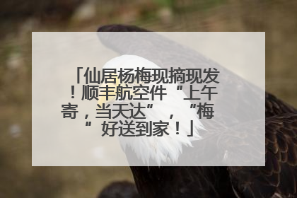 仙居杨梅现摘现发！顺丰航空件“上午寄，当天达”，“梅”好送到家！