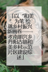 以“和美”为笔 绘就乡村振兴新画卷——孝南朋兴乡丹阳古镇和美乡村示范片区建设综述