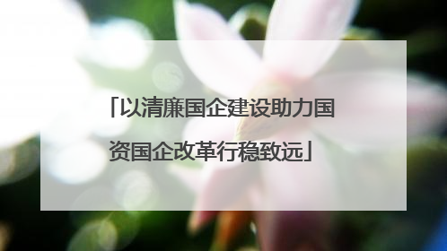 以清廉国企建设助力国资国企改革行稳致远