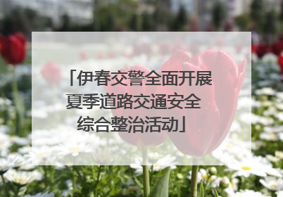 伊春交警全面开展 夏季道路交通安全综合整治活动