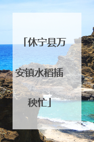 休宁县万安镇水稻插秧忙
