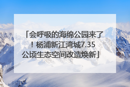 会呼吸的海绵公园来了！杨浦新江湾城7.35公顷生态空间改造焕新