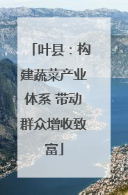 叶县：构建蔬菜产业体系 带动群众增收致富