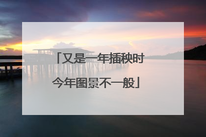 又是一年插秧时 今年图景不一般