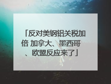 反对美钢铝关税加倍 加拿大、墨西哥、欧盟反应来了