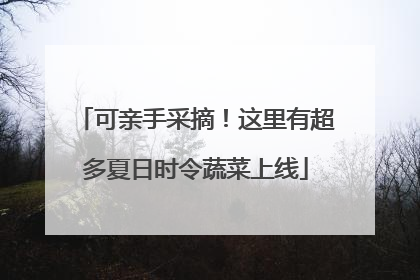 可亲手采摘！这里有超多夏日时令蔬菜上线
