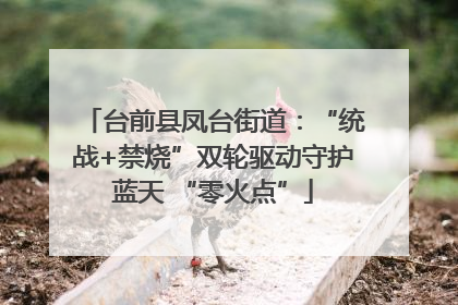 台前县凤台街道：“统战+禁烧”双轮驱动守护蓝天 “零火点”