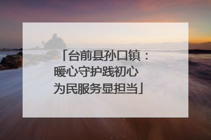 台前县孙口镇：暖心守护践初心 为民服务显担当