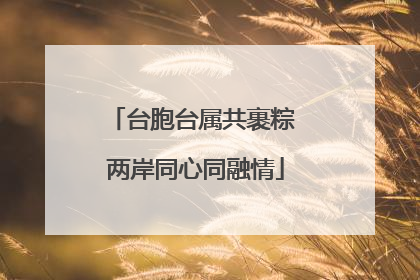 台胞台属共裹粽 两岸同心同融情