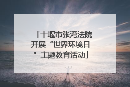 十堰市张湾法院开展“世界环境日”主题教育活动