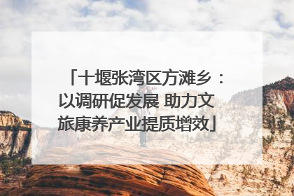 十堰张湾区方滩乡：以调研促发展 助力文旅康养产业提质增效
