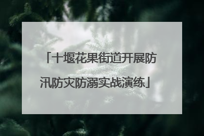 十堰花果街道开展防汛防灾防溺实战演练