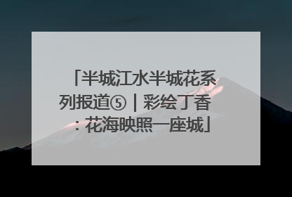 半城江水半城花系列报道⑤｜彩绘丁香：花海映照一座城