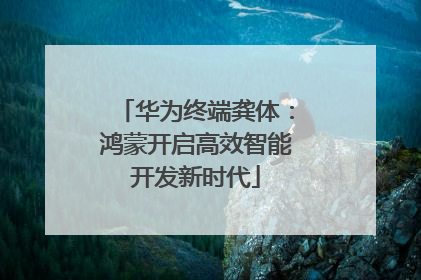 华为终端龚体：鸿蒙开启高效智能开发新时代