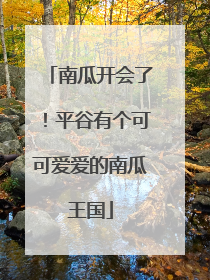 南瓜开会了！平谷有个可可爱爱的南瓜王国