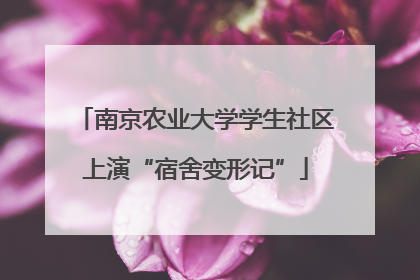 南京农业大学学生社区上演“宿舍变形记”