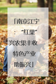 南京江宁：“红果”兴农果丰收 特色产业助振兴