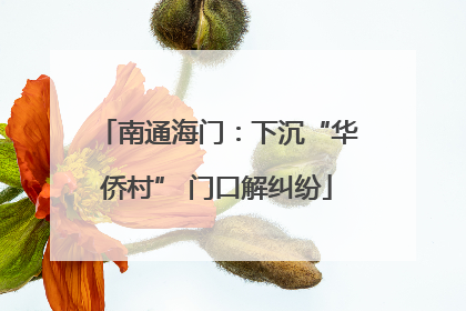 南通海门：下沉“华侨村” 门口解纠纷
