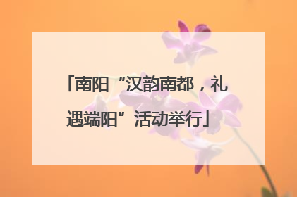 南阳“汉韵南都，礼遇端阳”活动举行