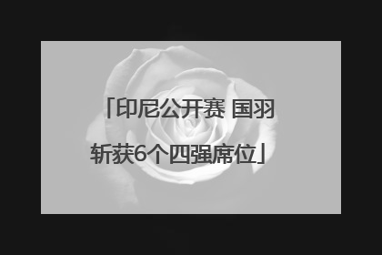 印尼公开赛 国羽斩获6个四强席位