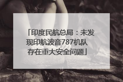 印度民航总局：未发现印航波音787机队存在重大安全问题