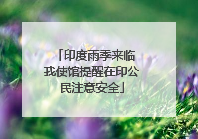 印度雨季来临 我使馆提醒在印公民注意安全