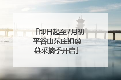 即日起至7月初 平谷山东庄镇桑葚采摘季开启