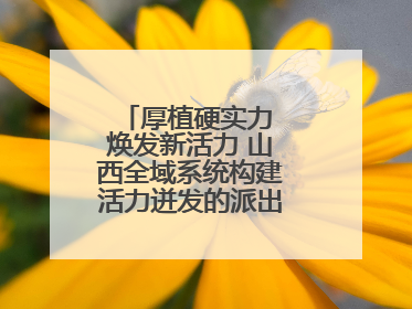 厚植硬实力 焕发新活力 山西全域系统构建活力迸发的派出所工作新生态