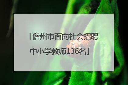 儋州市面向社会招聘中小学教师136名