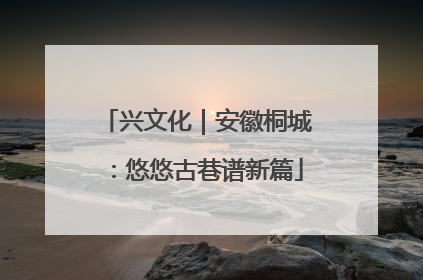 兴文化｜安徽桐城：悠悠古巷谱新篇