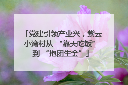 党建引领产业兴，紫云小湾村从 “靠天吃饭” 到 “抱团生金”