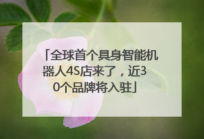 全球首个具身智能机器人4S店来了，近30个品牌将入驻