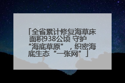 全省累计修复海草床面积938公顷 守护“海底草原”，织密海底生态“一张网”