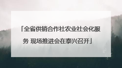 全省供销合作社农业社会化服务 现场推进会在泰兴召开