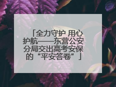 全力守护 用心护航——东营公安分局交出高考安保的“平安答卷”