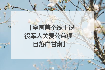 全国首个线上退役军人关爱公益项目落户甘肃