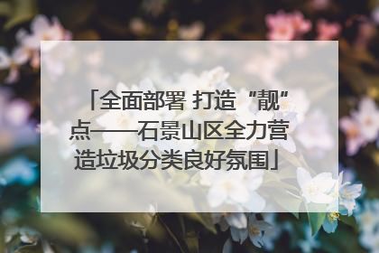 全面部署 打造“靓” 点——石景山区全力营造垃圾分类良好氛围