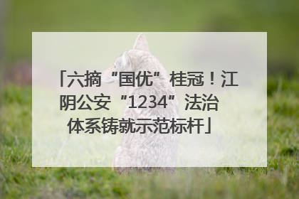 六摘“国优”桂冠！江阴公安“1234”法治体系铸就示范标杆
