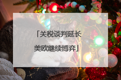 关税谈判延长 美欧继续博弈