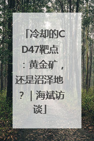 冷却的CD47靶点：黄金矿，还是沼泽地？｜海斌访谈
