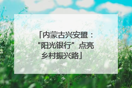 内蒙古兴安盟：“阳光银行”点亮乡村振兴路
