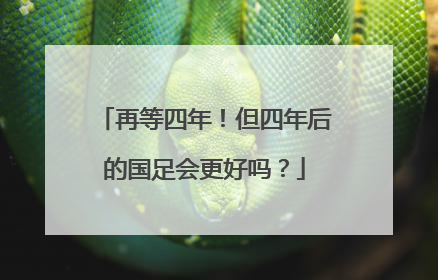 再等四年！但四年后的国足会更好吗？