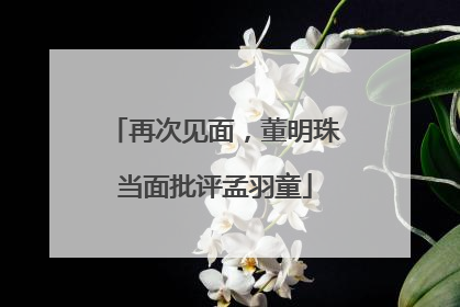 再次见面，董明珠当面批评孟羽童