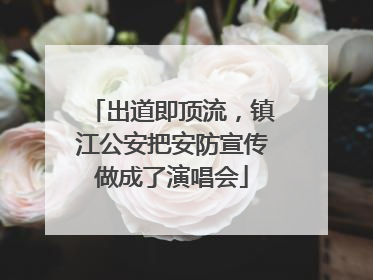 出道即顶流，镇江公安把安防宣传做成了演唱会