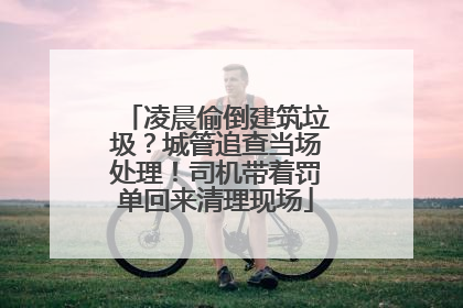 凌晨偷倒建筑垃圾？城管追查当场处理！司机带着罚单回来清理现场
