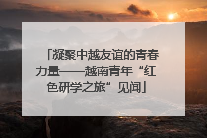 凝聚中越友谊的青春力量——越南青年“红色研学之旅”见闻