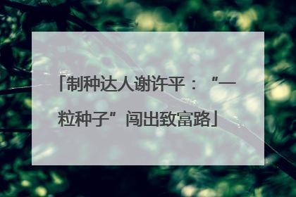 制种达人谢许平：“一粒种子”闯出致富路
